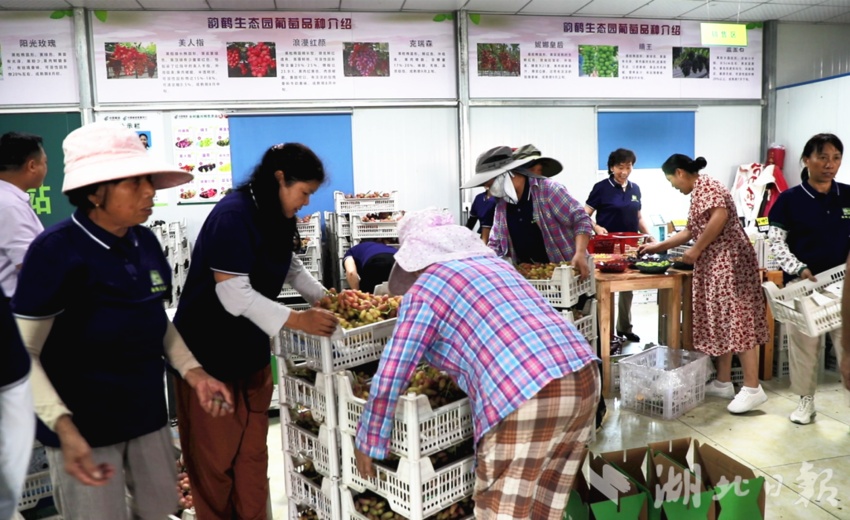 奔驰宝马游戏网址是www